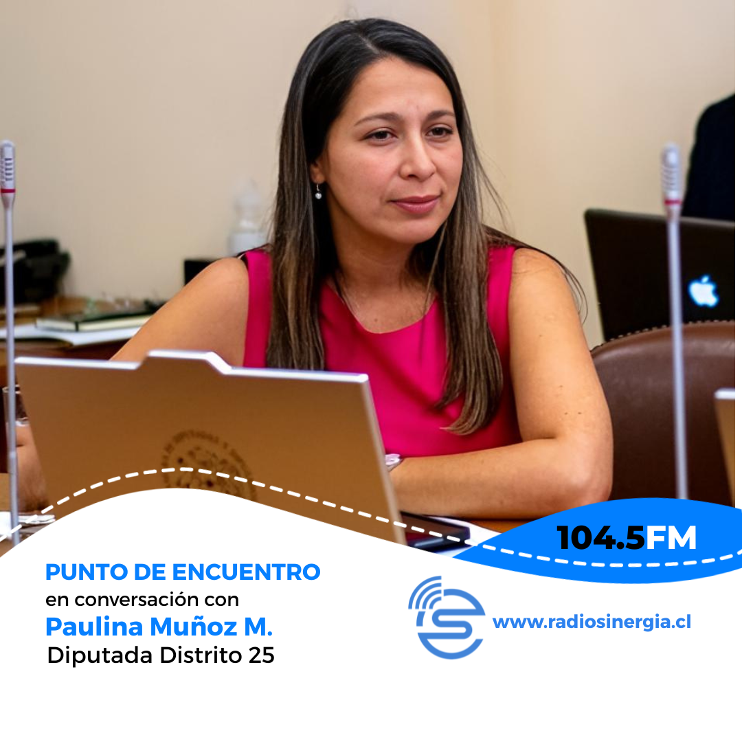 Diputada Paulina Muñoz defendió acusación constitucional contra ex Ministro de Hacienda Nicolás Grau.
